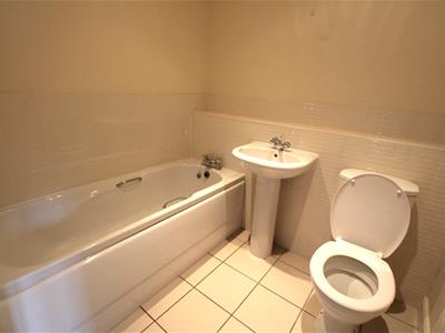 Picture 13